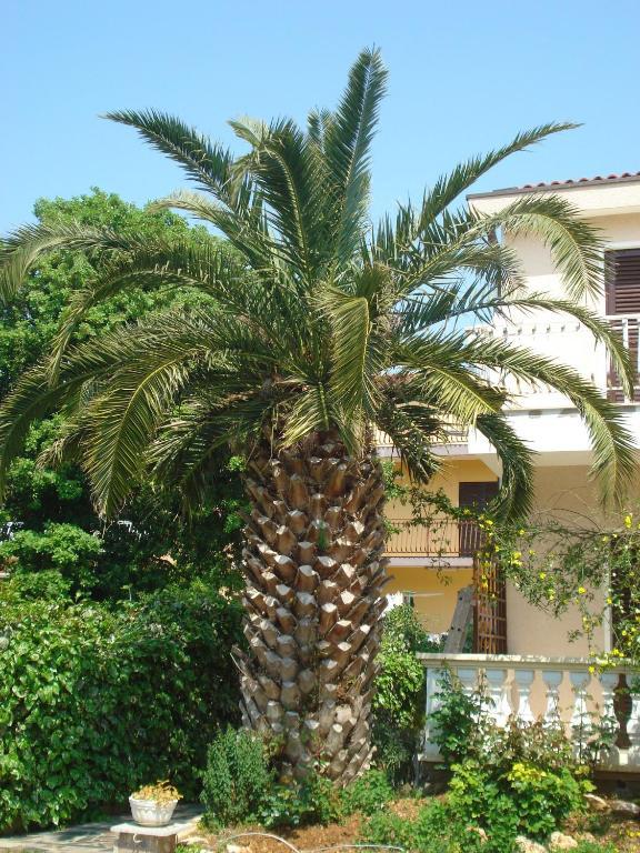 Apartments Labor Vodice Kamer foto